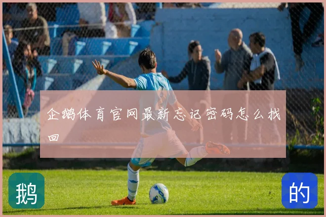 企鹅体育官网最新忘记密码怎么找回